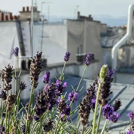 Penthouse With Terrasse And View On Eiffel Tower דירה פריז
