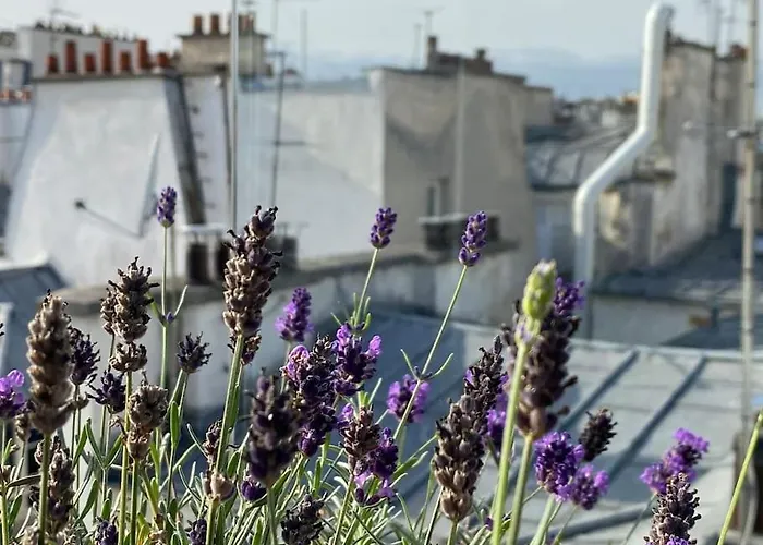 Penthouse With Terrasse And View On Eiffel Tower Daire Paris